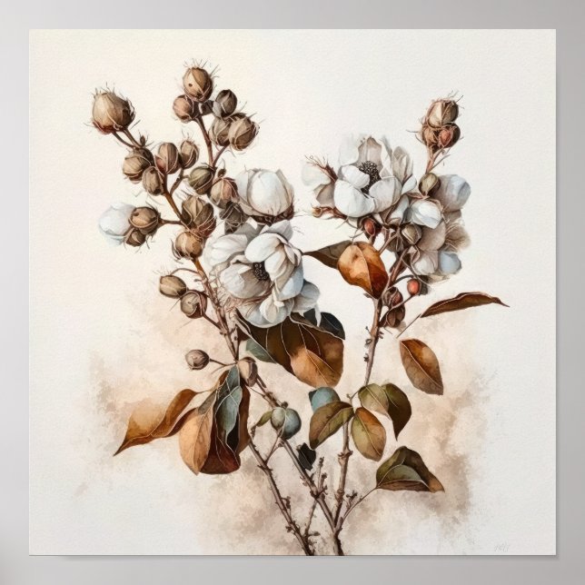 Poster de impresión de arte de las flores de algod (Frente)