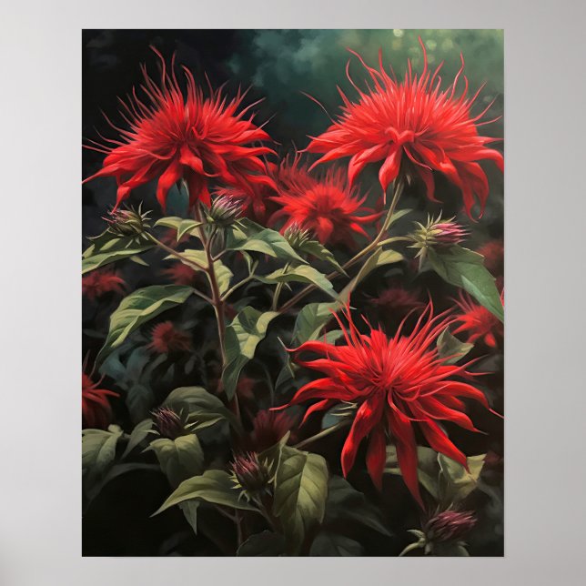 Poster de impresión de arte de las flores de balmo (Frente)