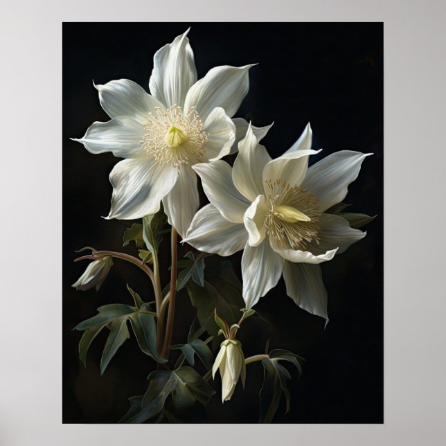 Poster de impresión de arte de las flores de colum (Frente)