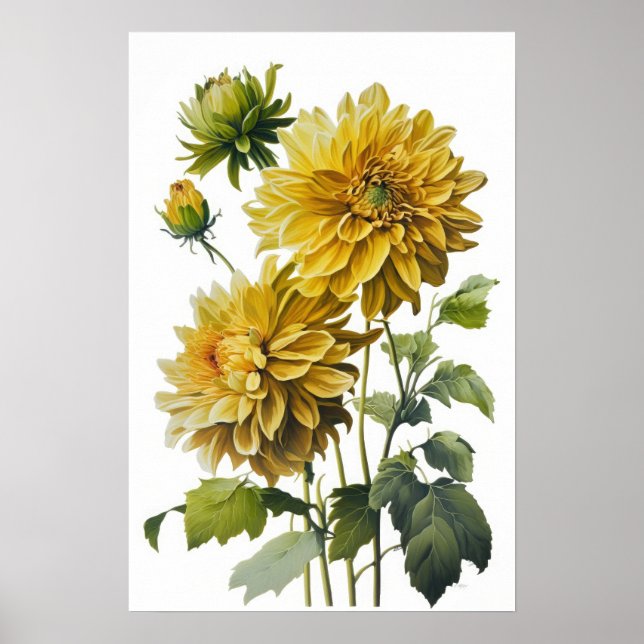 Poster de impresión de arte de las flores de Dahli (Frente)