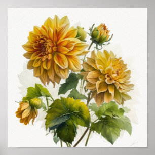 Poster de impresión de arte de las flores de Dahli