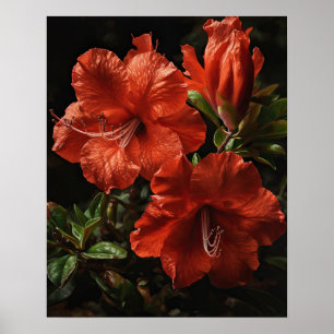 Poster de impresión de arte de las flores de la Az