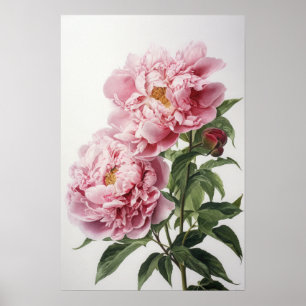 Poster de impresión de arte de las flores de los p