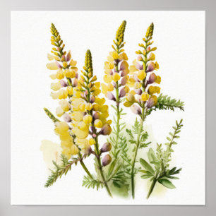 Poster de impresión de arte de las flores de lupa