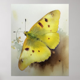 Poster de impresión de arte de mariposa de azufre 