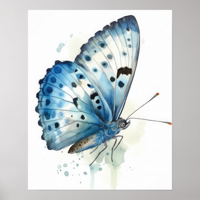 Poster de impresión de arte de mariposa de Azure (Frente)