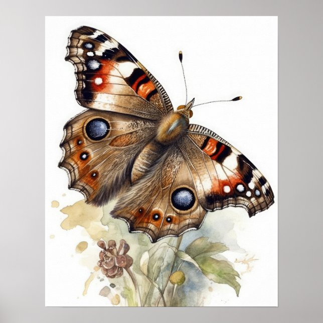 Poster de impresión de arte de mariposa de Buckeye (Frente)