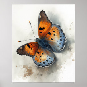 Poster de impresión de arte de mariposa de cobre p