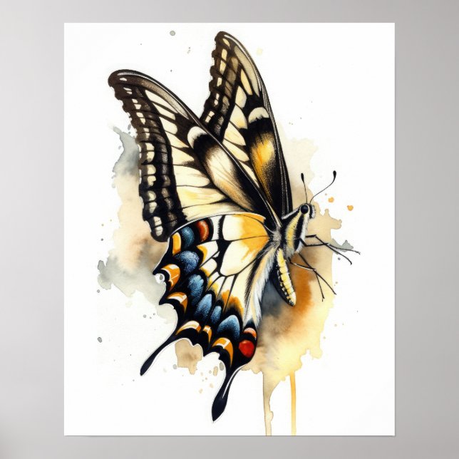 Poster de impresión de arte de mariposa de cola cr (Frente)