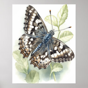 Poster de impresión de arte de mariposa de control