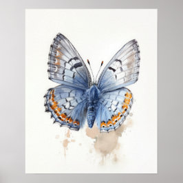 Poster de impresión de arte de mariposa en Pygmy o