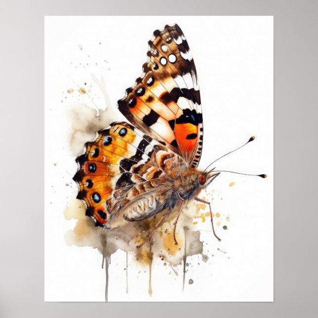 Poster de impresión de arte de mariposa Lady Pinta (Frente)