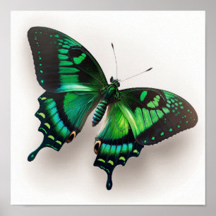 Poster de impresión de arte de mariposa verde esme