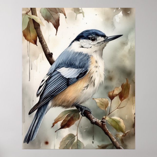 Poster de impresión de arte de pájaro con pechuga  (Frente)