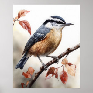 Poster de impresión de arte de pájaro con pechuga