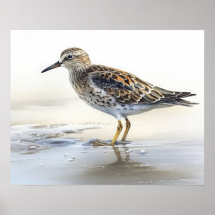 Poster de impresión de arte de pájaro de arena pec