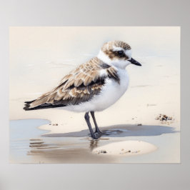Poster de impresión de arte de pájaro de Plover Sn