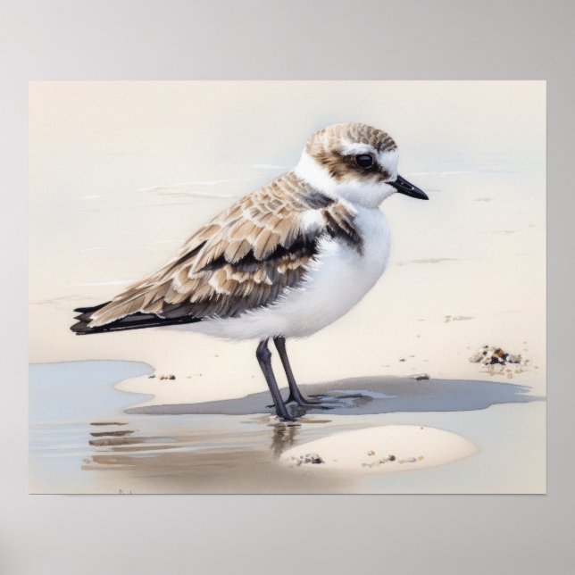 Poster de impresión de arte de pájaro de Plover Sn (Frente)