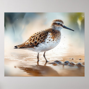 Poster de impresión de arte de pájaro de Sandpiper