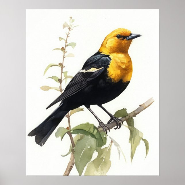Poster de impresión de arte de pájaro negro con ca (Frente)