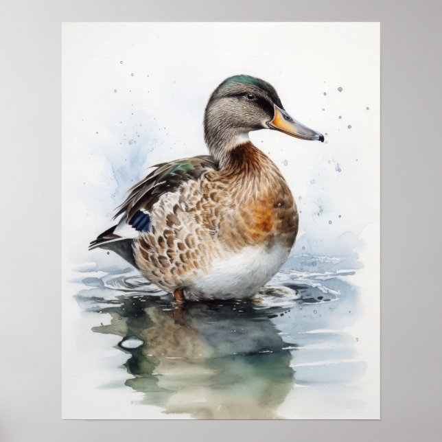 Poster de impresión de arte de pájaros de pato Mal (Frente)
