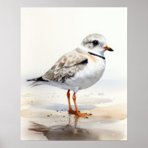 Poster de impresión de arte de pájaros de Plover
