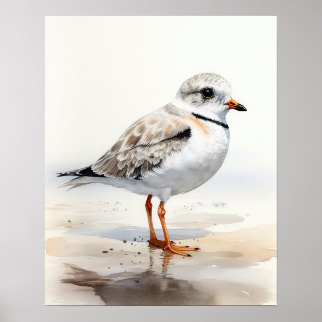 Poster de impresión de arte de pájaros de Plover (Frente)