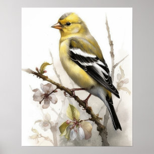 Poster de impresión de arte de pájaros Goldfinch