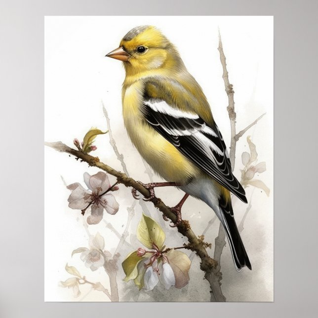 Poster de impresión de arte de pájaros Goldfinch (Frente)