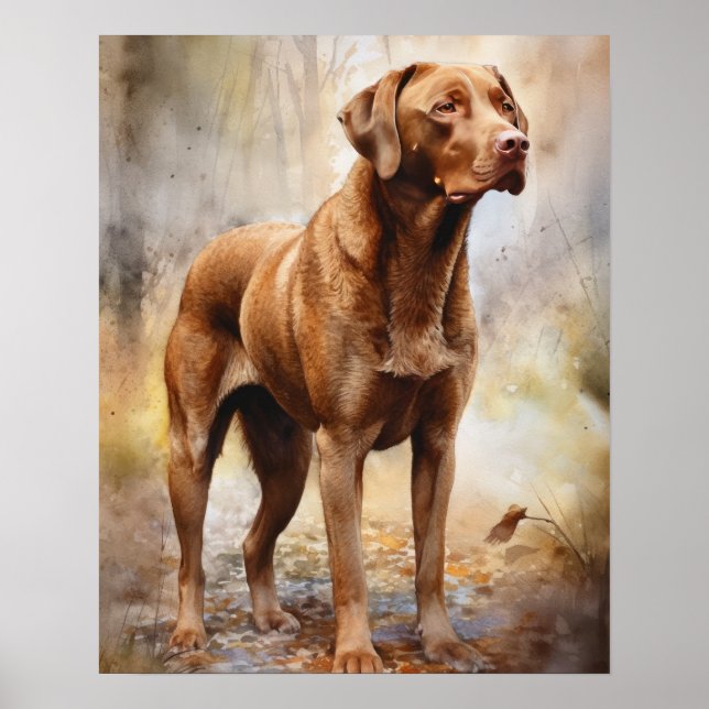 Poster de impresión de arte de perro de Chesapeake (Frente)