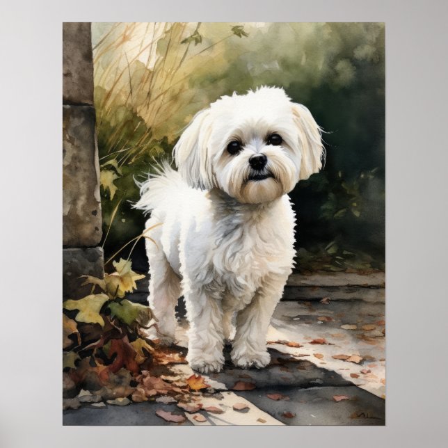 Poster de impresión de arte de perro maltés (Frente)