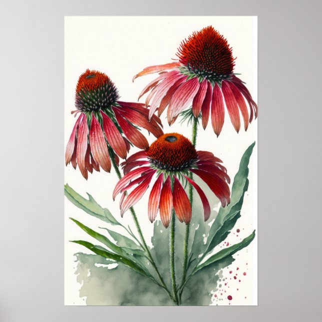 Poster de impresión de arte de Red Coneflowers (Frente)