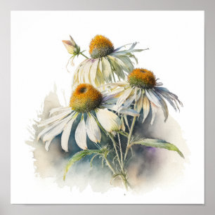 Poster de impresión de arte de White Coneflowers