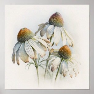Poster de impresión de arte de White Coneflowers