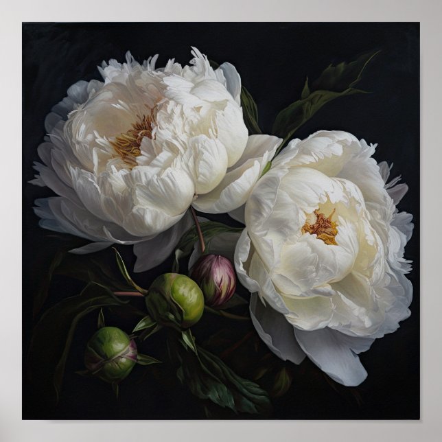 Poster de impresión de arte de White Peony Flowers (Frente)