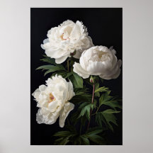 Poster de impresión de arte de White Peony Flowers