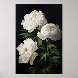 Poster de impresión de arte de White Peony Flowers