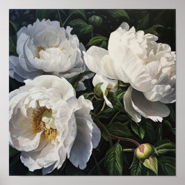 Poster de impresión de arte de White Peony Flowers