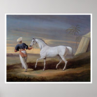 Poster de impresión de arte del caballo árabe