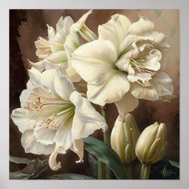 Poster de impresión de arte floral Amaryllis blanc