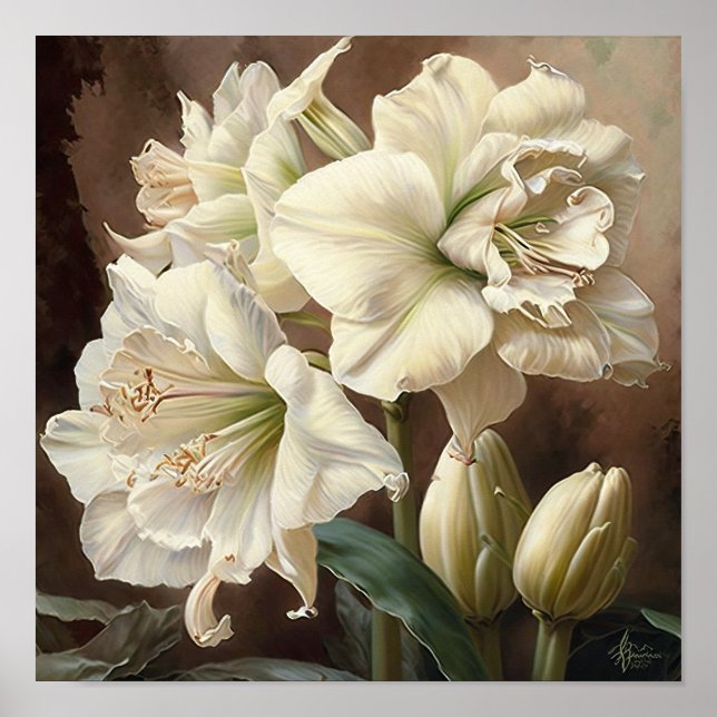 Poster de impresión de arte floral Amaryllis blanc (Frente)