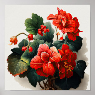 Poster de impresión de arte floral de Begonias roj