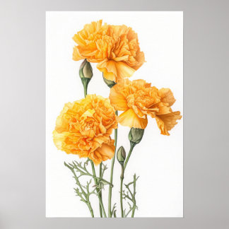 Poster de impresión de arte floral de los claveles