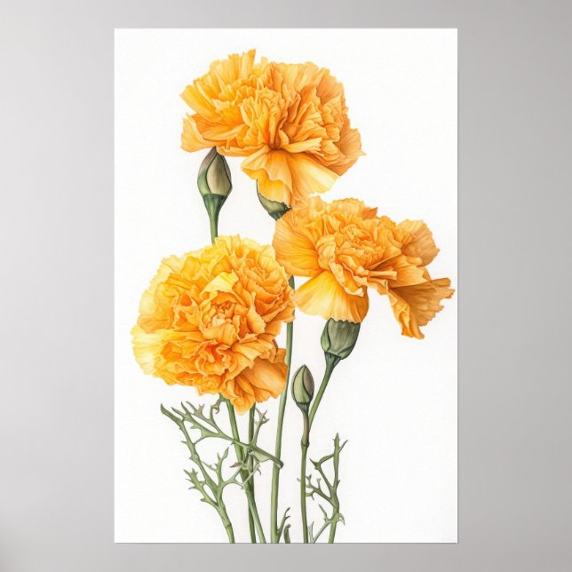 Poster de impresión de arte floral de los claveles (Frente)