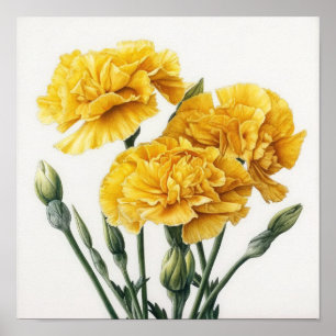 Poster de impresión de arte floral de los claveles