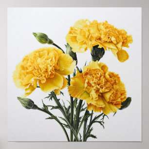 Poster de impresión de arte floral de los claveles