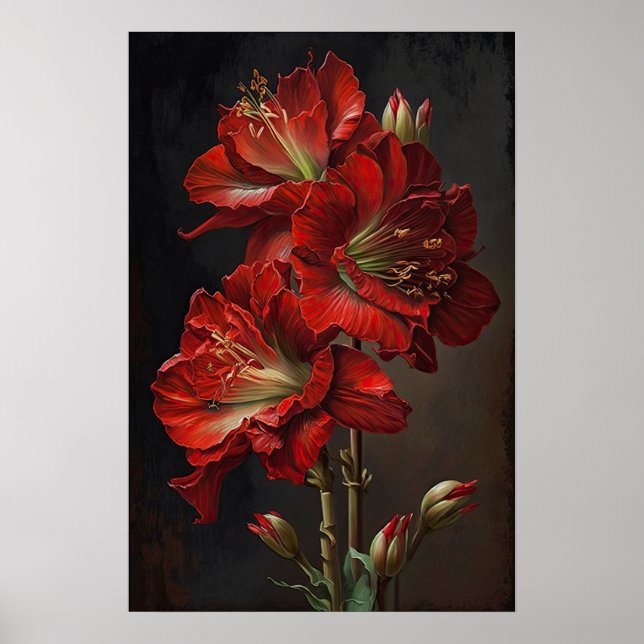 Poster de impresión de arte floral de Red Amarylli (Frente)