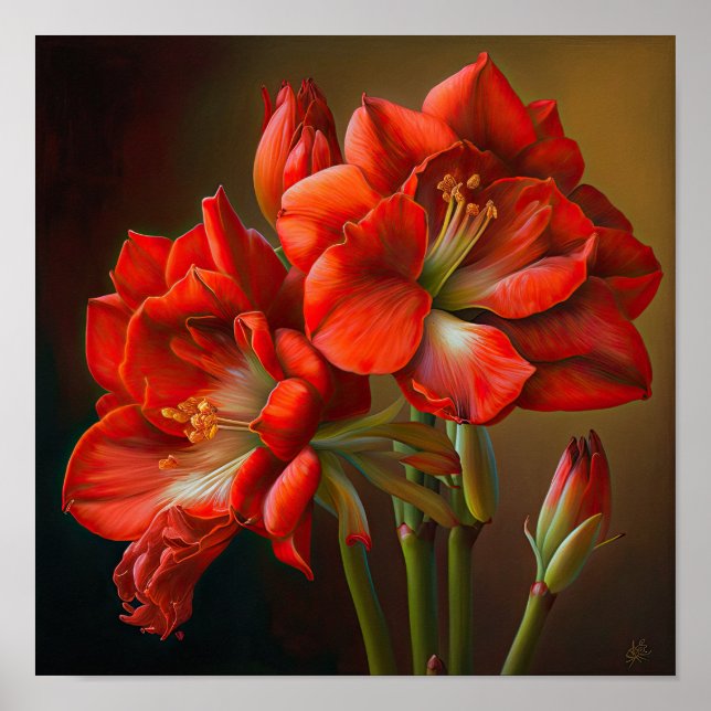 Poster de impresión de arte floral de Red Amarylli (Frente)