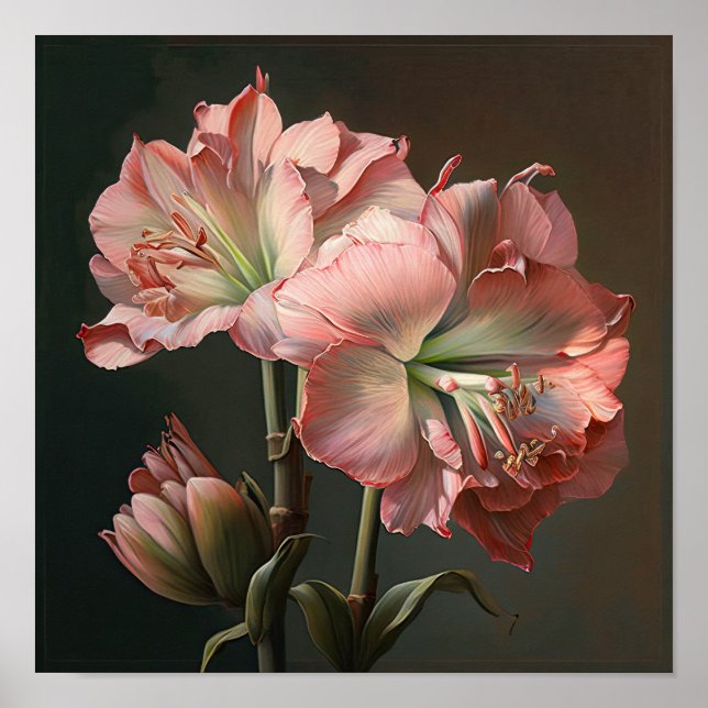 Poster de impresión de arte floral rosa de Amaryll (Frente)
