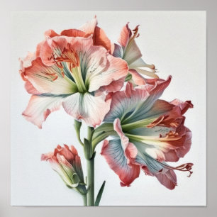 Poster de impresión de arte floral rosa de Amaryll